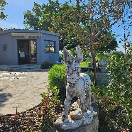 Villa Doci Zadar Zewnętrze zdjęcie