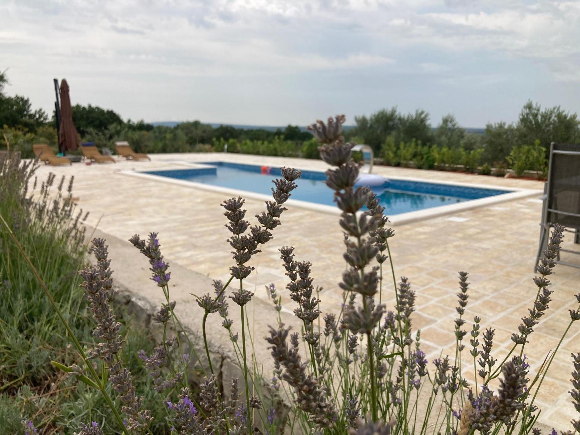 Villa Doci Zadar Zewnętrze zdjęcie